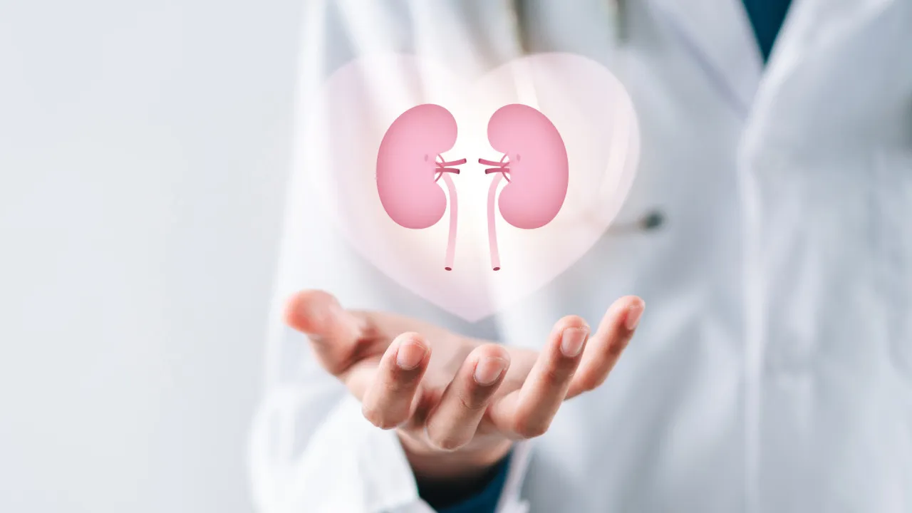 Mitos e verdades sobre o cancro do rim: Oncologista desvenda tudo