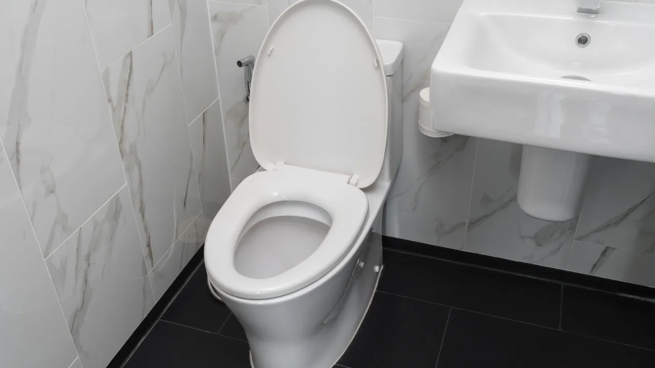 É por isto que deve começar a colocar gelo na sanita